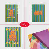 Index File Folder - Teddy Bear