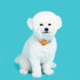 Night Safety LED Pendant - Wiggle Bear