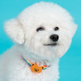 Night Safety LED Pendant - Wiggle Bear