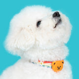 Night Safety LED Pendant - Wiggle Bear