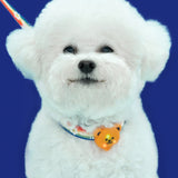 Night Safety LED Pendant - Wiggle Bear