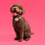 Night Safety LED Pendant - Smile We Love