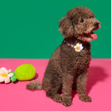 Night Safety LED Pendant - Smile We Love