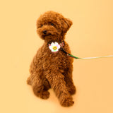 Night Safety LED Pendant - Smile We Love