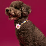 Night Safety LED Pendant - Smile We Love