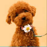 Night Safety LED Pendant - Smile We Love