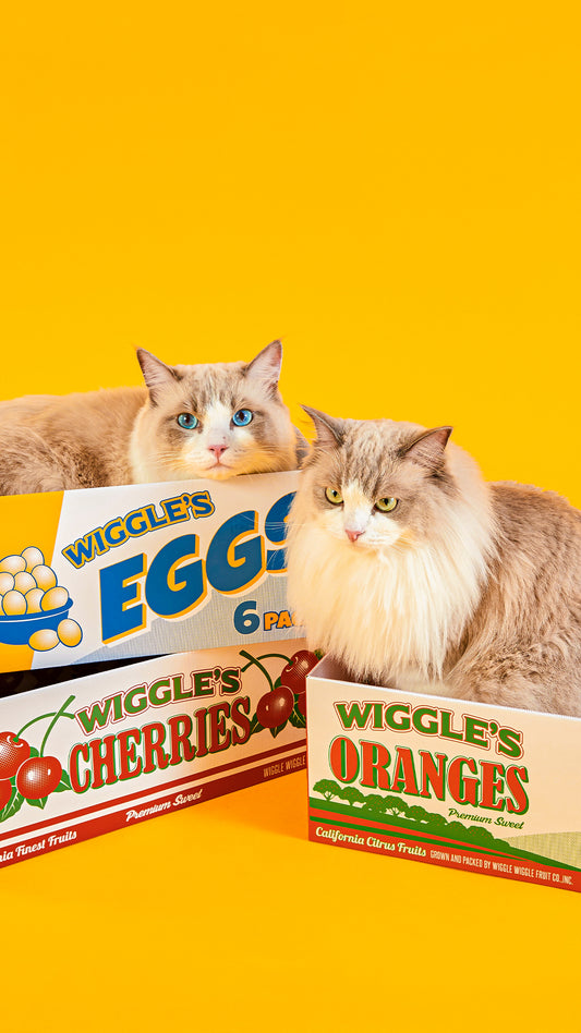 Grocery Market - Cats