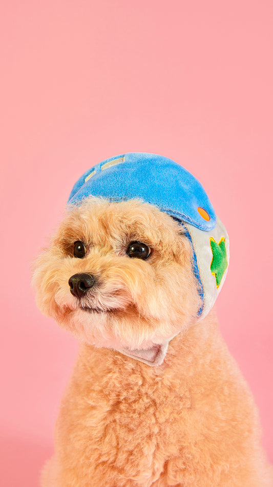 Helmet Puppy