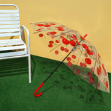 Transparent Umbrella - Sugar Candy Cherry