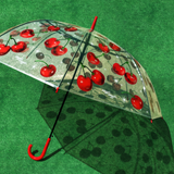 Transparent Umbrella - Sugar Candy Cherry