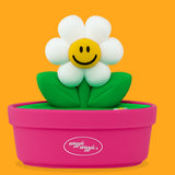 Soap Tray - Smile We Love